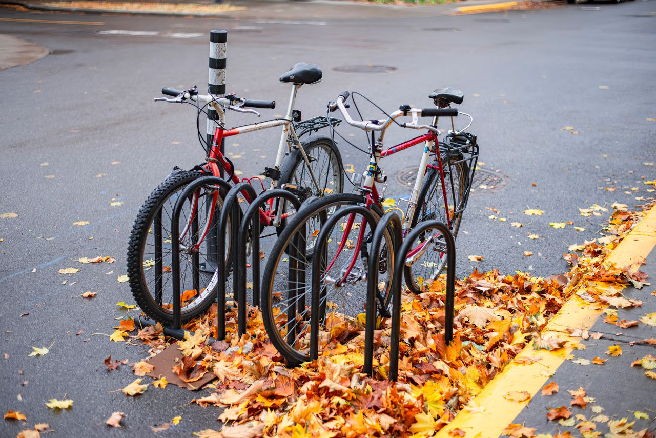 Servicios Two bicycles parked on a street with autumn leaves, highlighting urban transportation.
